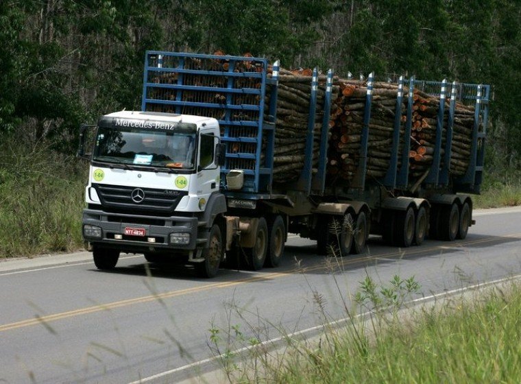 Carretas de madeira bitrem