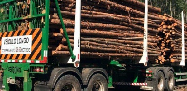 Sergomel é campeã na fabricação de equipamentos de transporte florestal em 2018, afirma Anfir