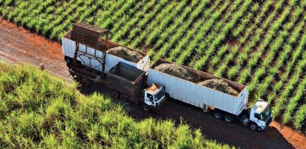 Agricultura 4.0: tudo o que você precisa saber