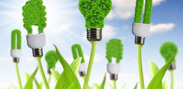 Bioenergia: o que é, para que serve e onde pode ser utilizada?