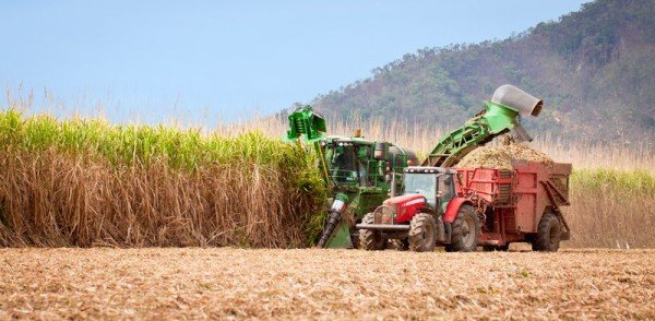 A produção de cana em um novembro chuvoso e o que esperar das próximas safras