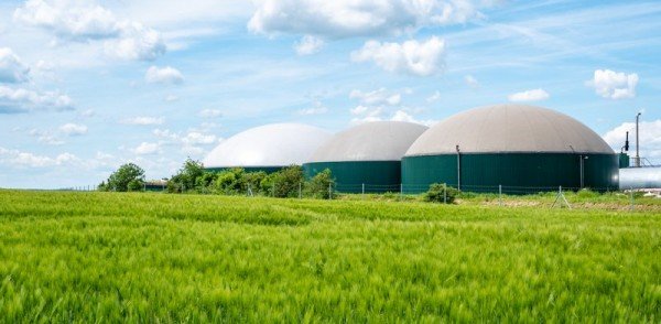 O sistema bioenergético: o tamanho do mercado atual, a médio e longo prazo