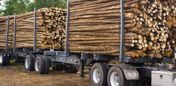 Transporte Florestal: o que é e quais os principais equipamentos