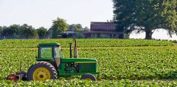 Agricultura do sistema bioenergético: o que é, como funciona e quais os benefícios?