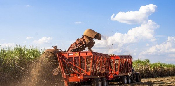 Quais os principais tipos de transporte canavieiro disponíveis no mercado