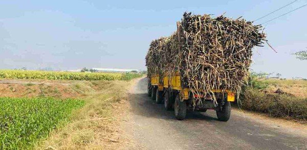 Desgaste de peças no transporte de cana: como evitar?
